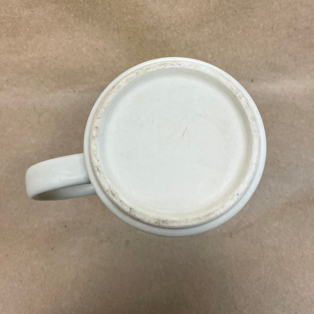 Canadian Rockies Lake Louise Relief Mug