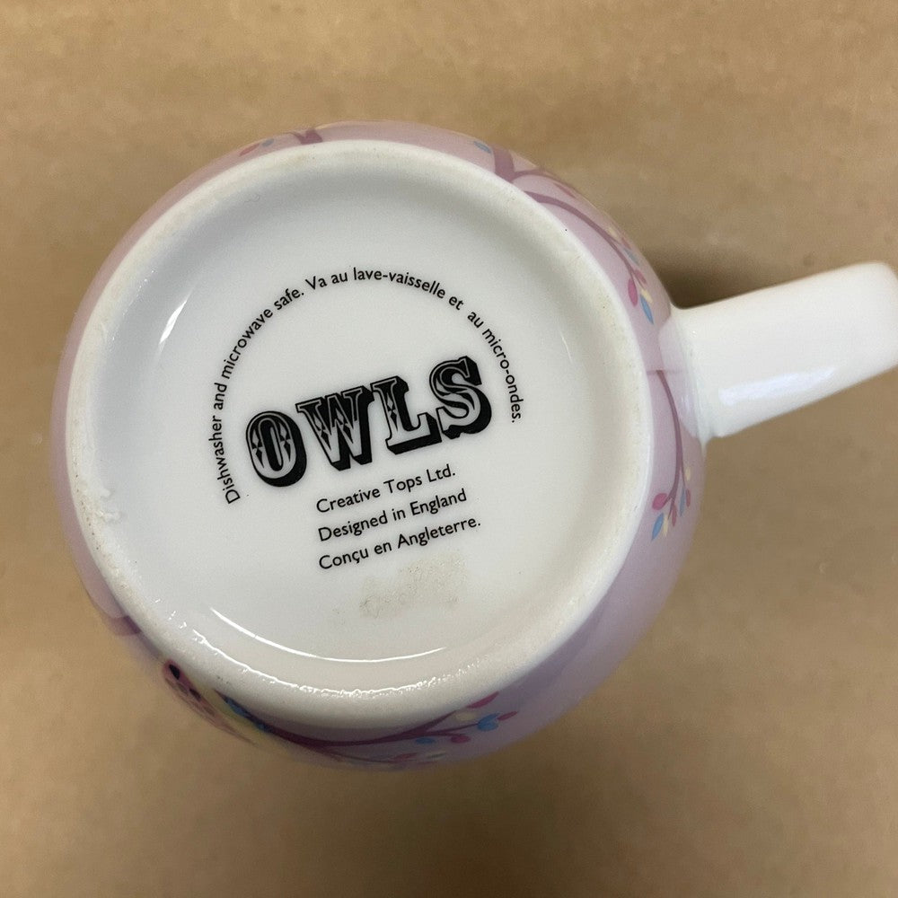 Creative Tops Owls Mug