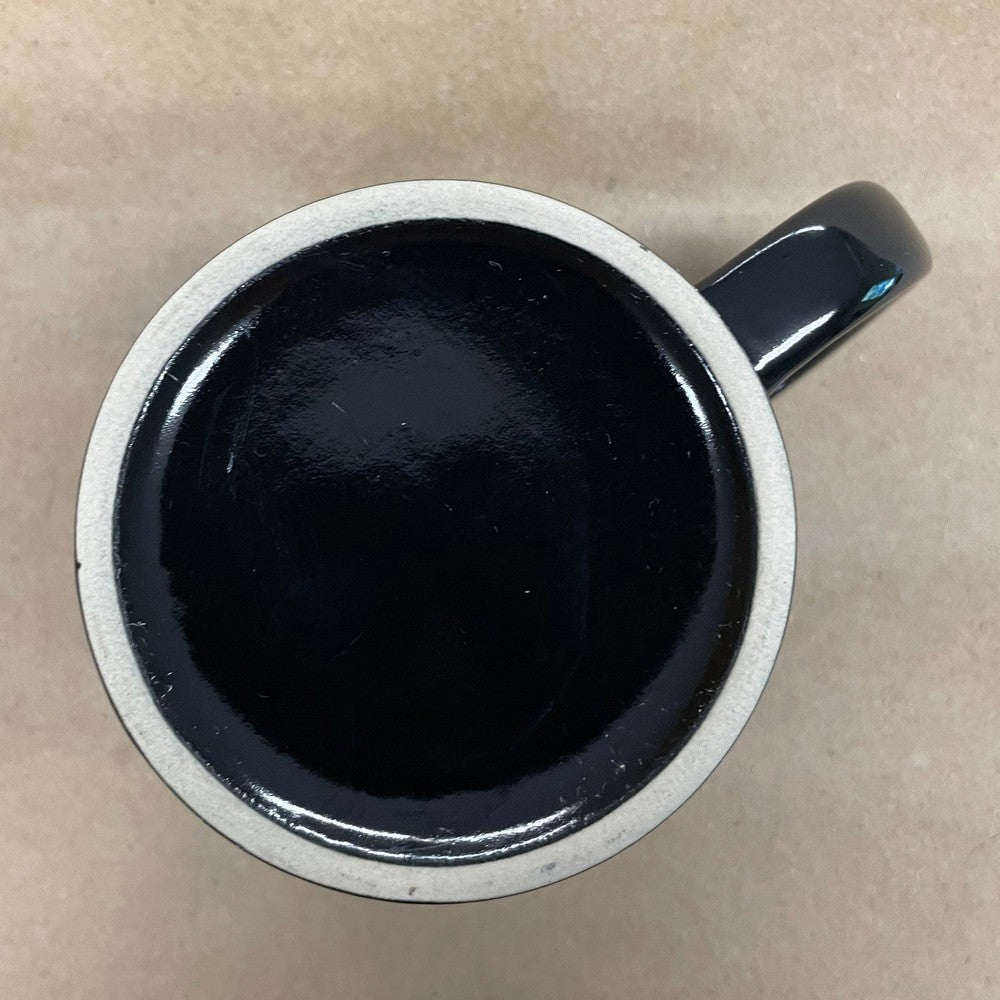 Daytona 500 Etched Mug