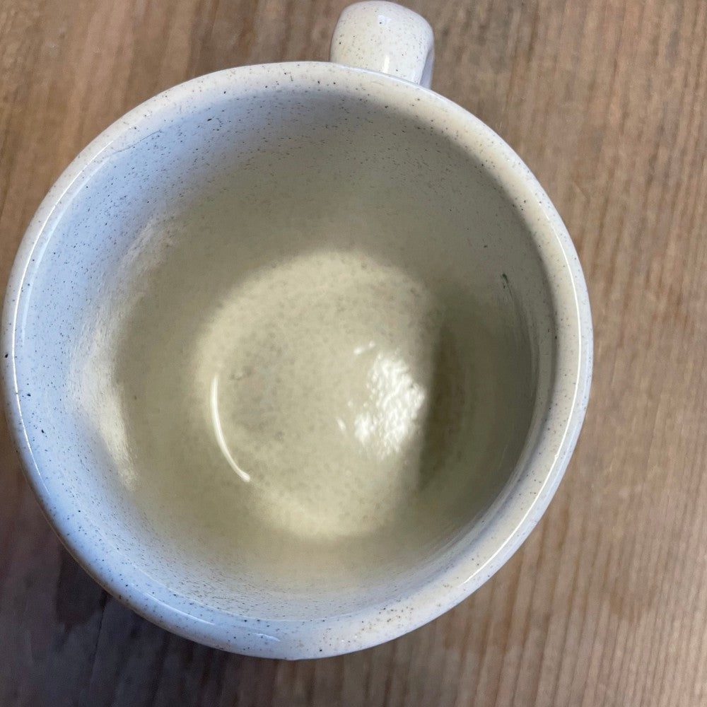 Galapagos Blue Footed Boobies Mug