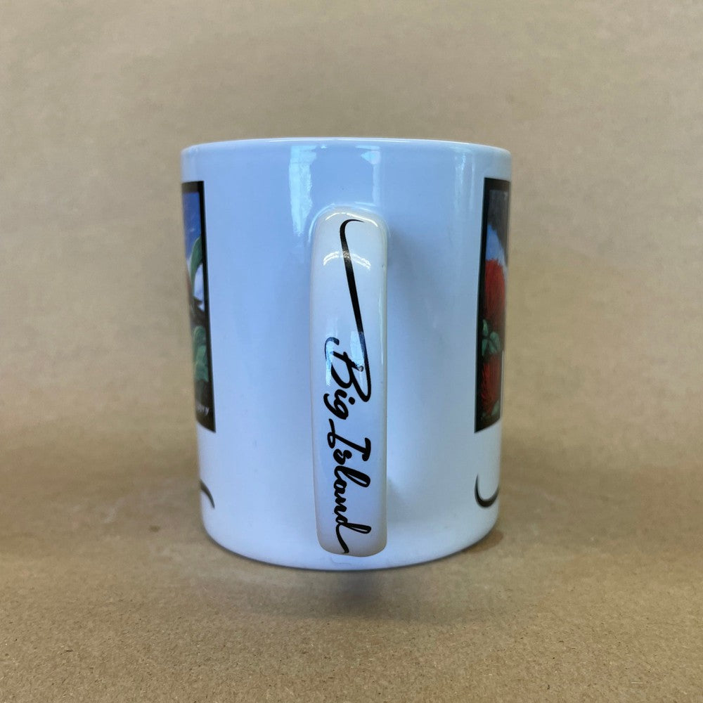 Hawaii Big Island Artwork by Eddy Y Mug-2017