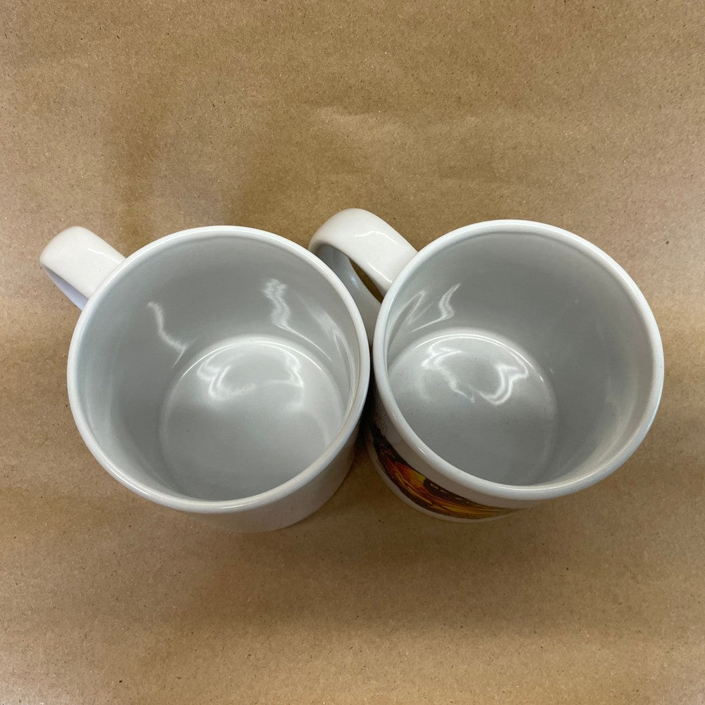 Hunger Games Mugs-Pair