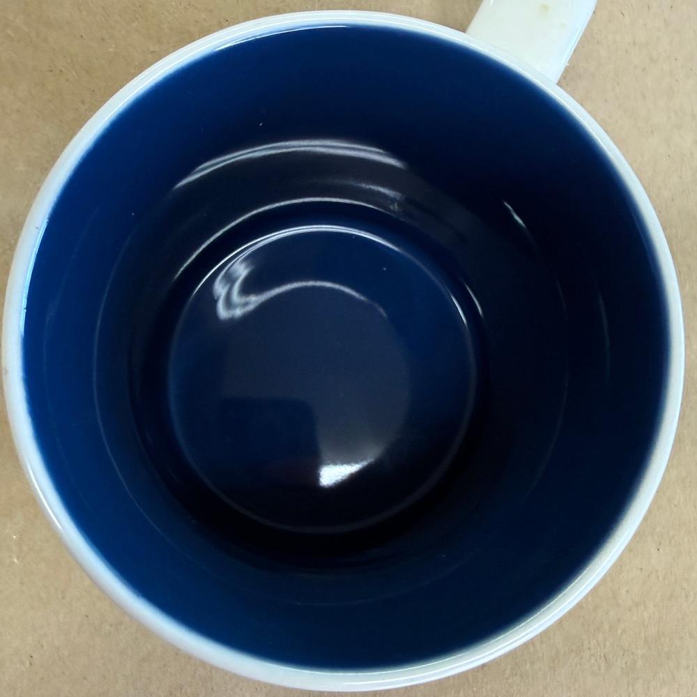 Starbucks Global Icon Niagara Falls Mug-2011