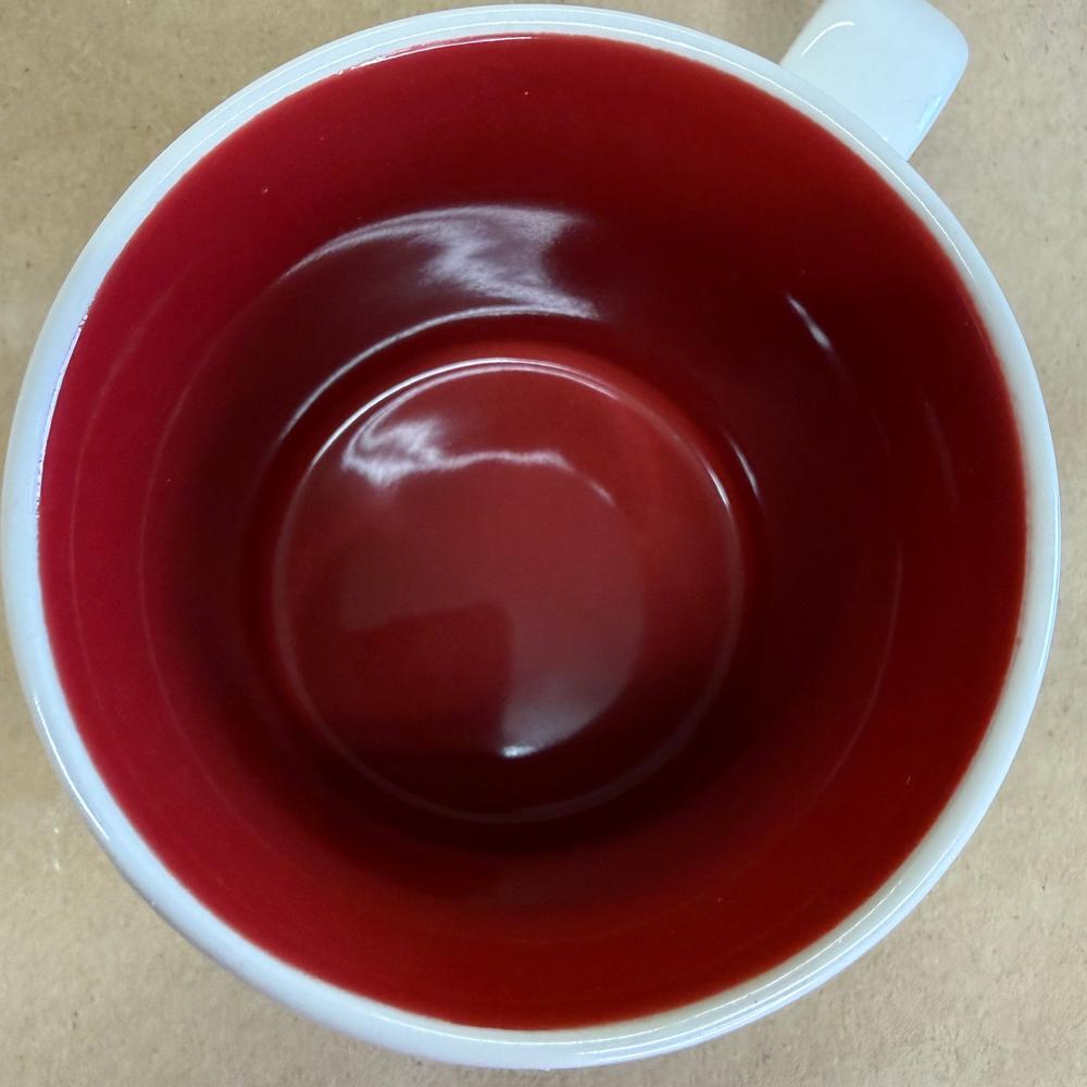 Starbucks Global Icon Malaysia Hibiscus Mug-2009