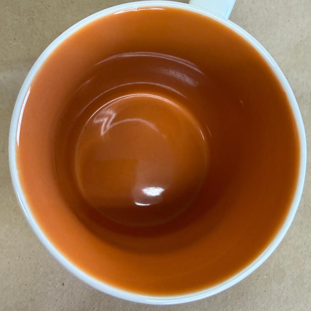 Starbucks Global Icon Collector Series Hong Kong Mug-2009