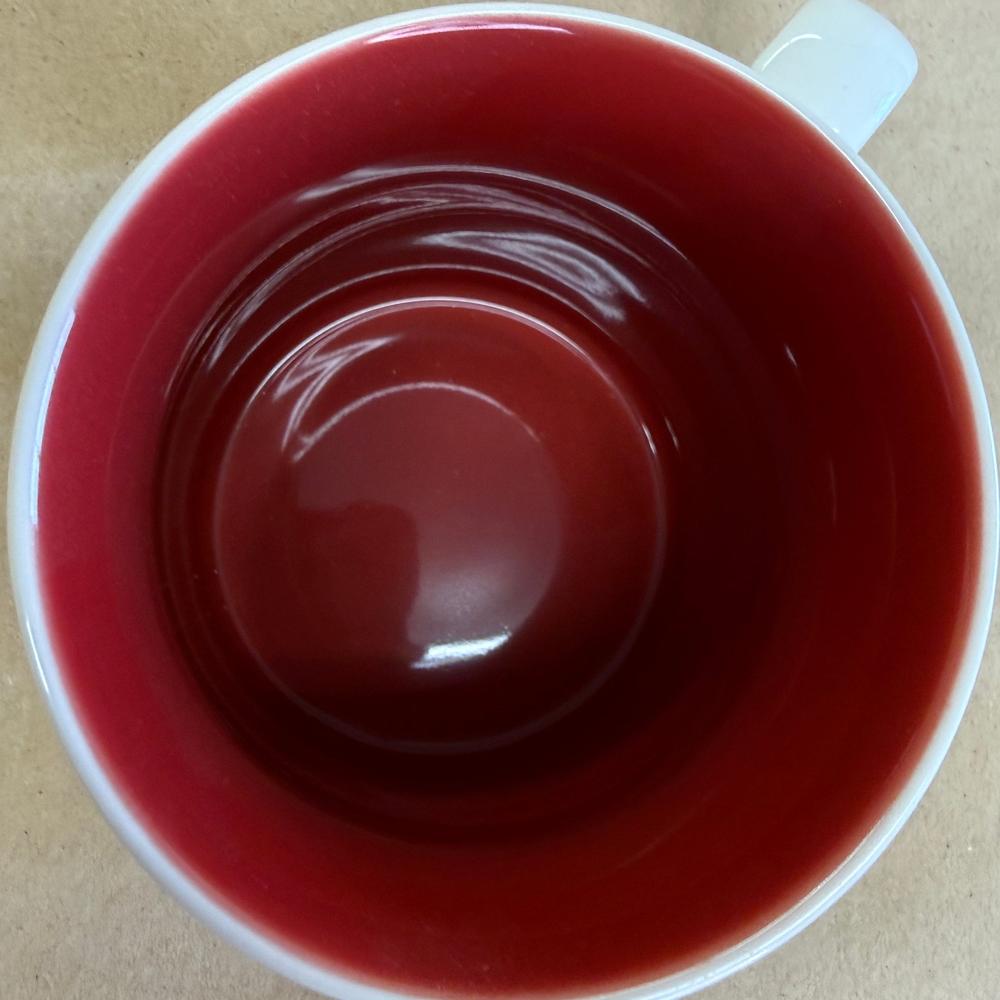 Starbucks Global Icon Bisbane Mug-2008