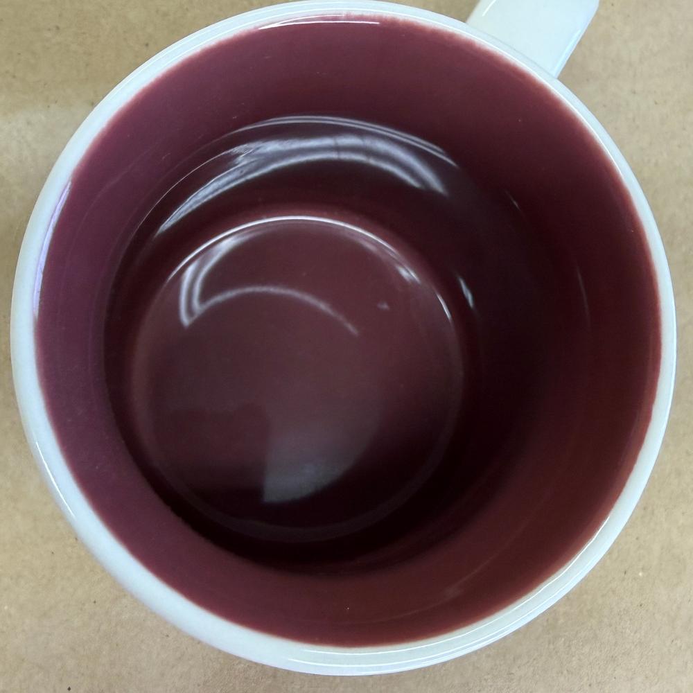Starbucks Global Icon Sydney Mug-2013
