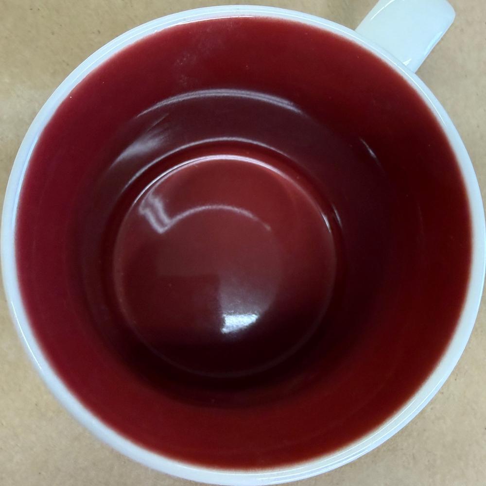 Starbucks Global Icon Ruhrgebiet Mug-2010