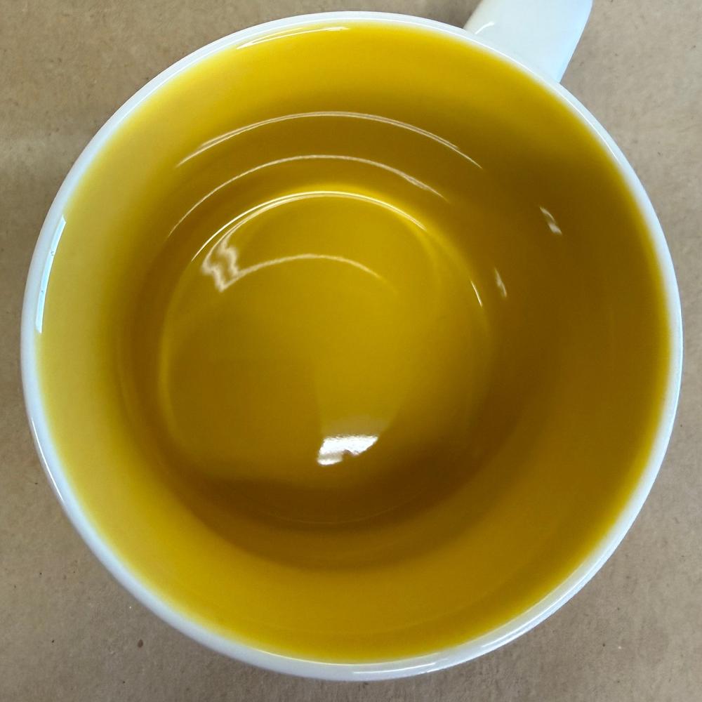 Starbucks Been There Series Wyoming Mug NIB-2018