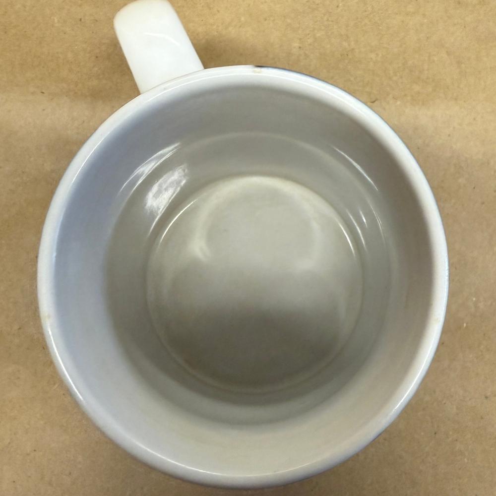 Ryan Newman #12 NASCAR Racing Mug