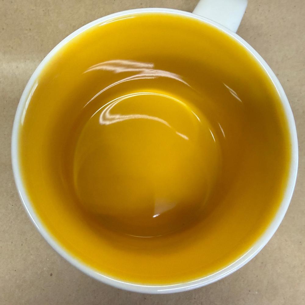Starbucks You Are Here Series New York Mug NIB-2017