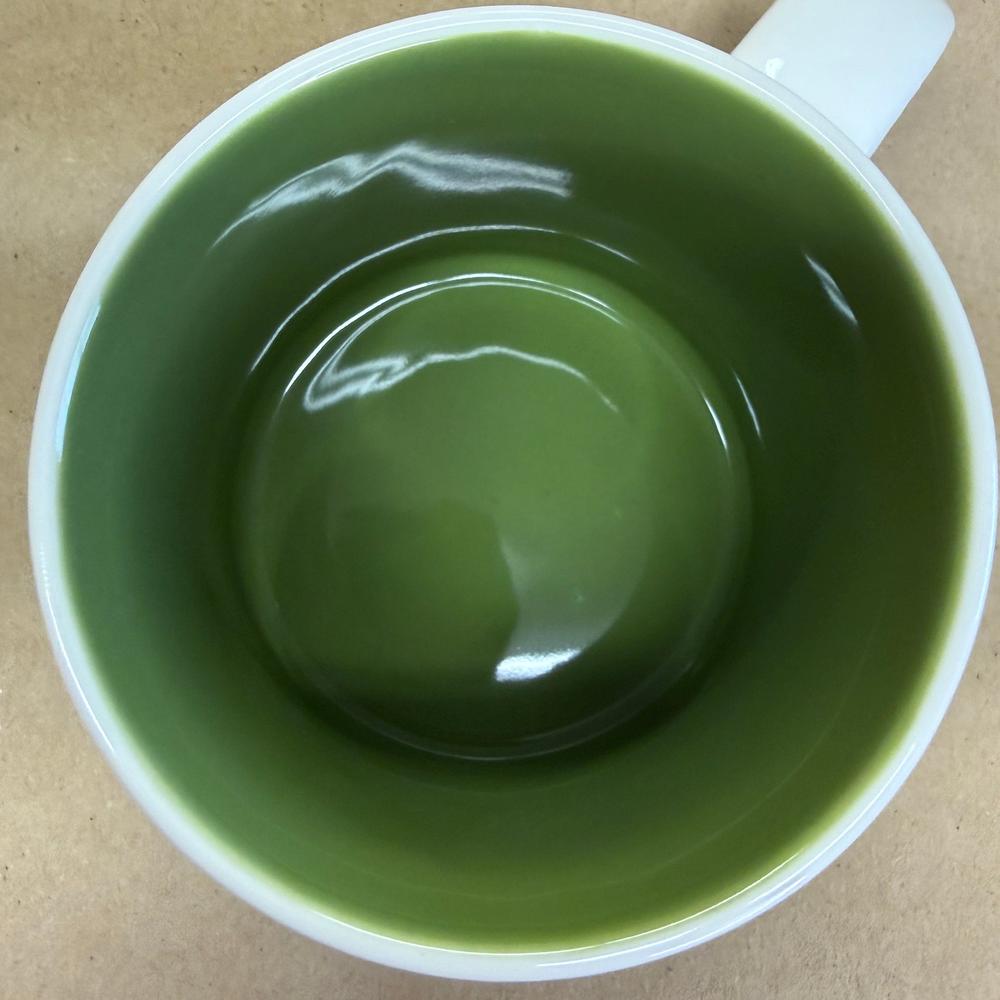 Starbucks You Are Here Series Frankfort Mug NIB-2019