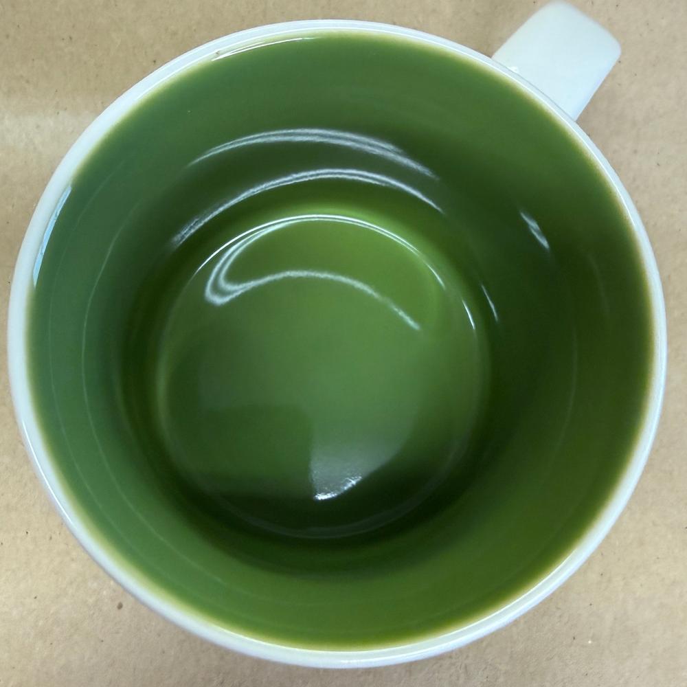Starbucks You Are Here Series Singapore Iris Mug NIB-2018