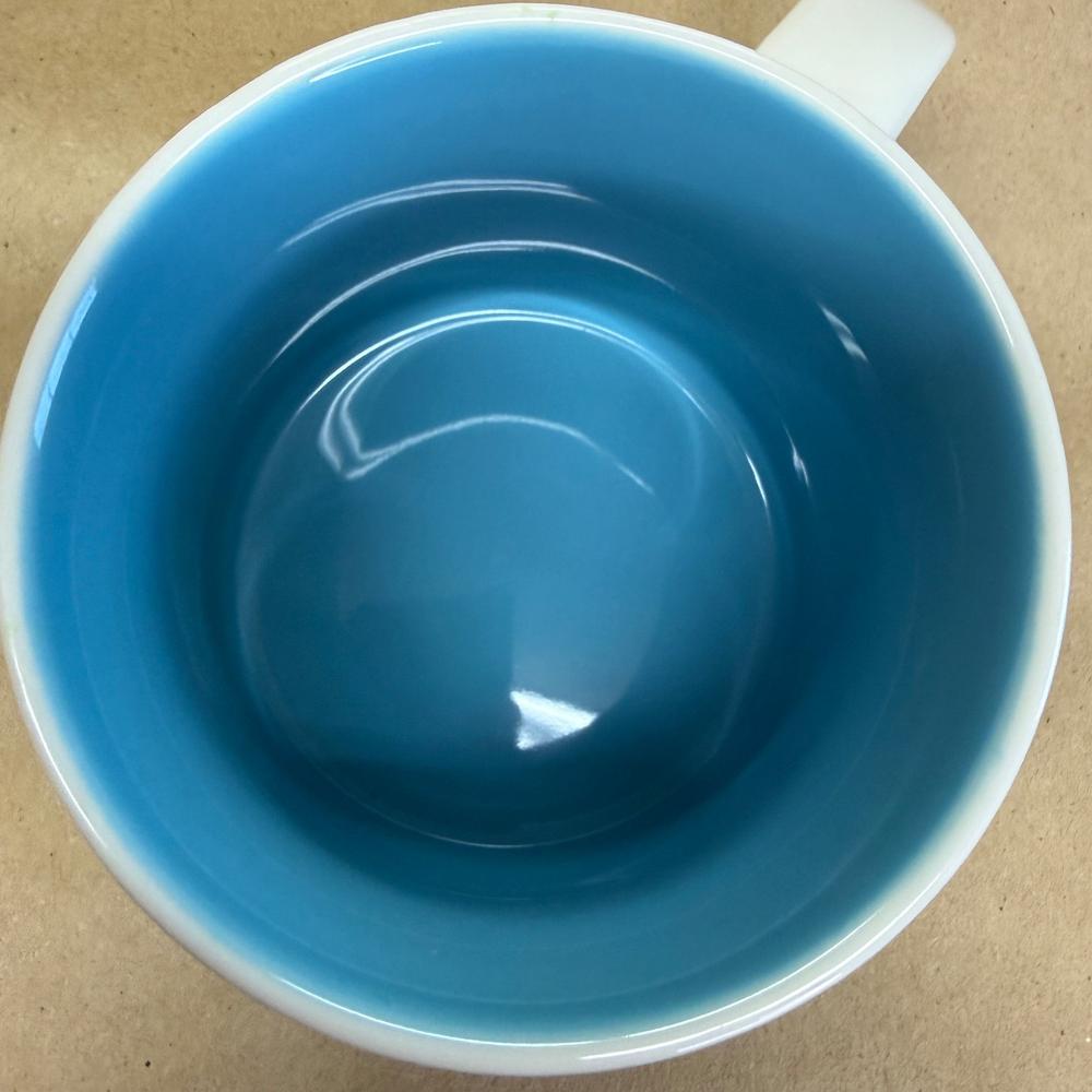 Starbucks You Are Here Series Niagara Falls Mug NIB-2015