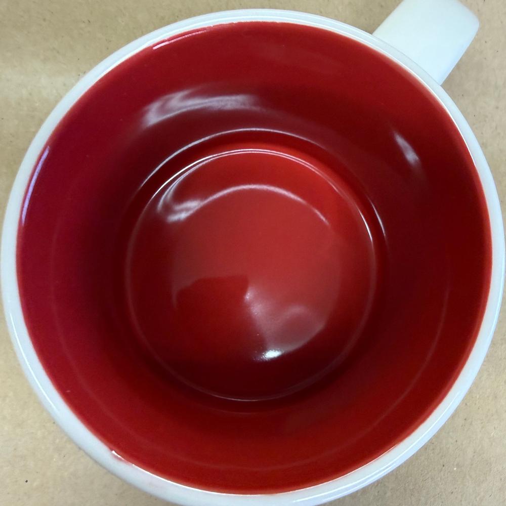 Starbucks You Are Here Series Turkey Mug NIB-2019
