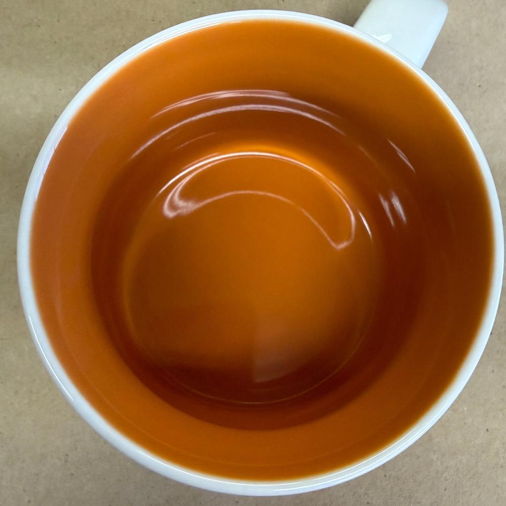 Starbucks You Are Here Series Phoenix Mug NIB-2013