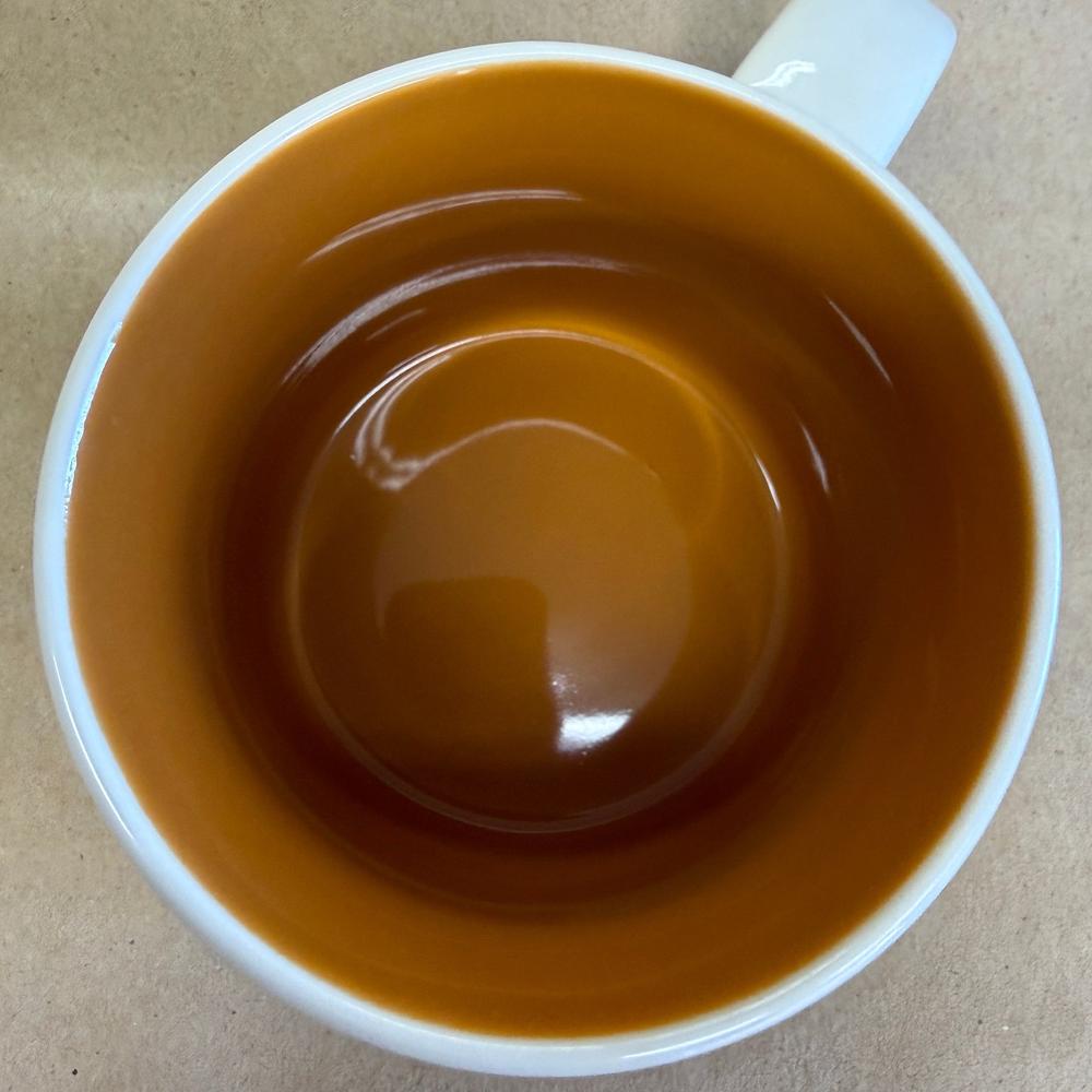 Starbucks You Are Here Series Texas Mug NIB-2015