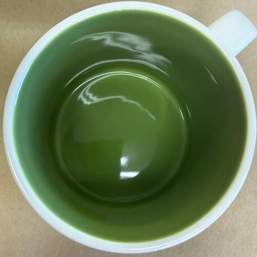 Starbucks You Are Here Series Dublin Mug NIB-2023