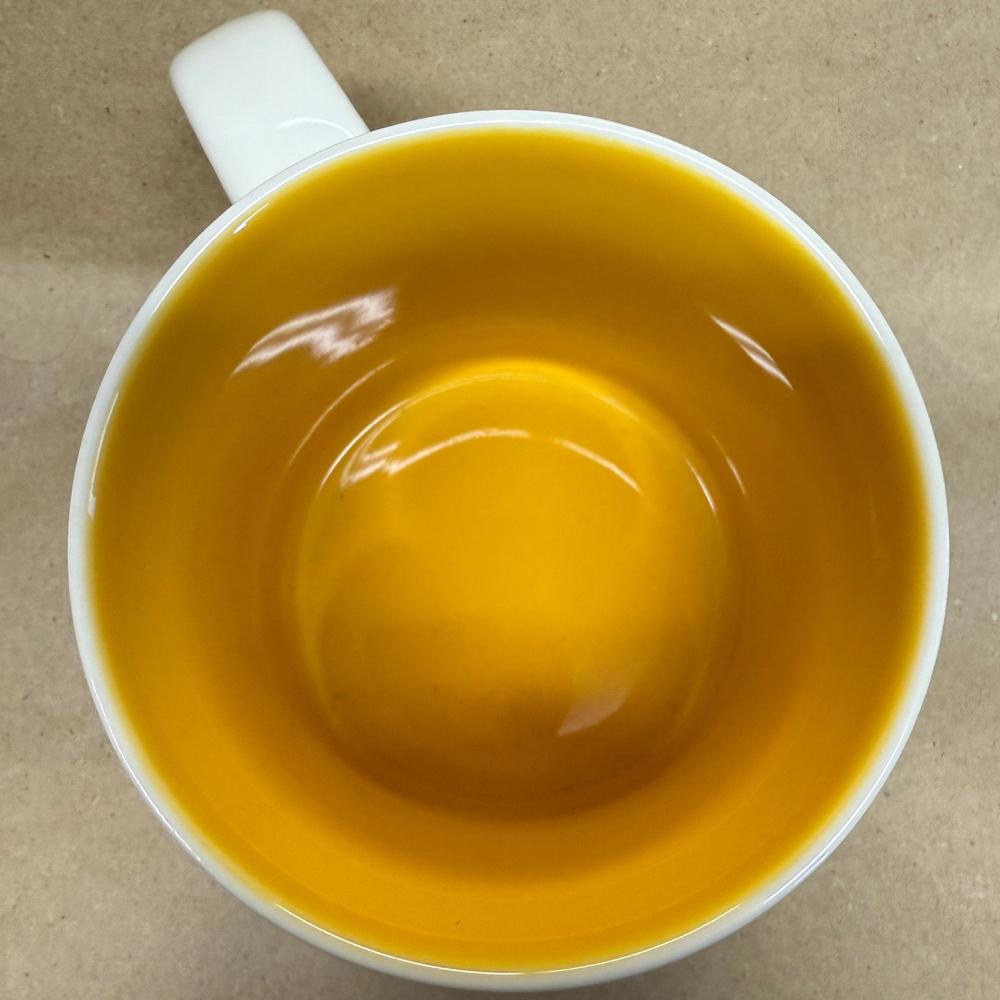 Starbucks You Are Here Series Dallas Mug-2015