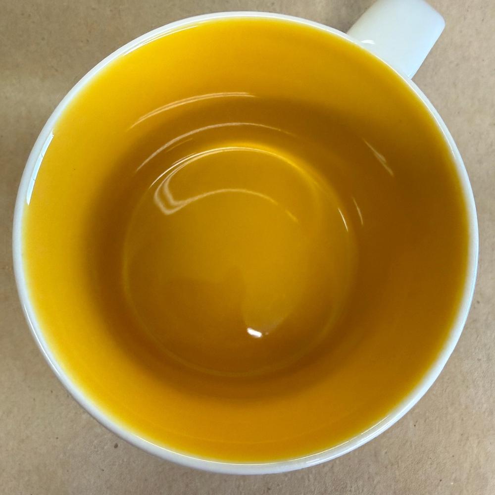 Starbucks You Are Here Series Pittsburgh Mug NIB-2015
