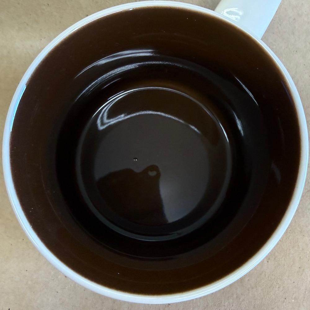 Starbucks You Are Here Series Houston Mug NIB-2015