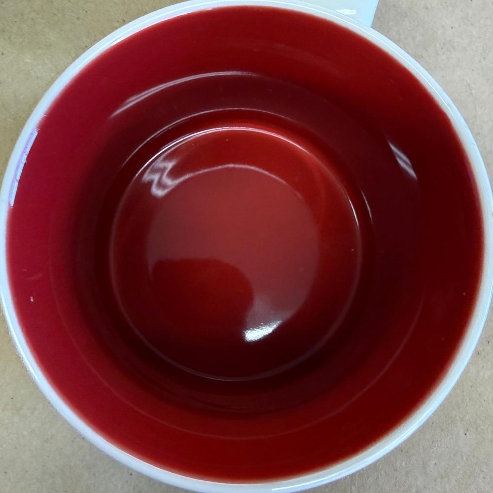 Starbucks You Are Here Series Austin Mug NIB-2015