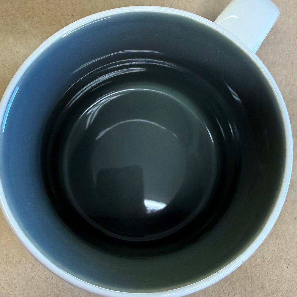 Starbucks You Are Here Series St. Louis Mug NIB-2013