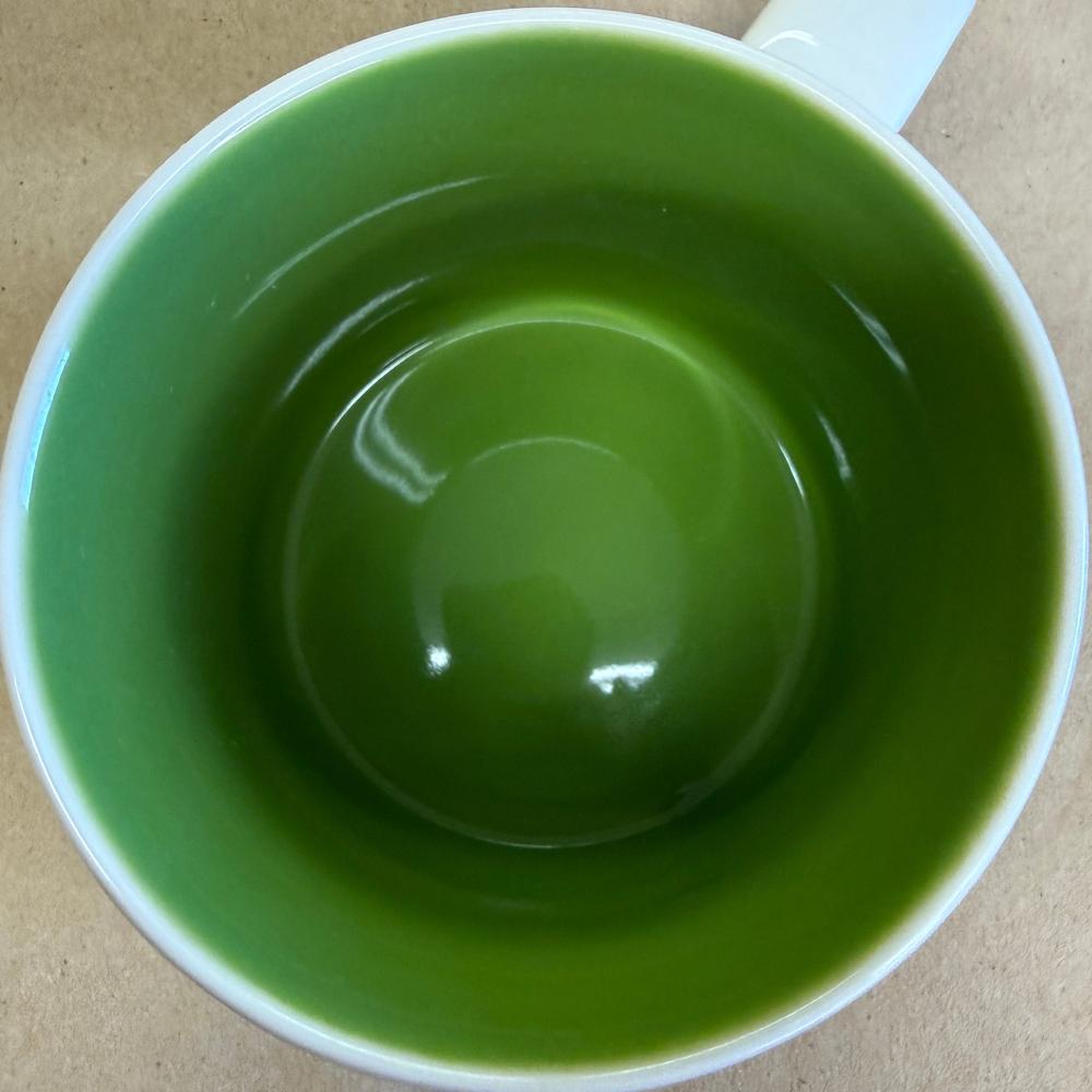 Starbucks You Are Here Series Illinois Mug NIB-2018