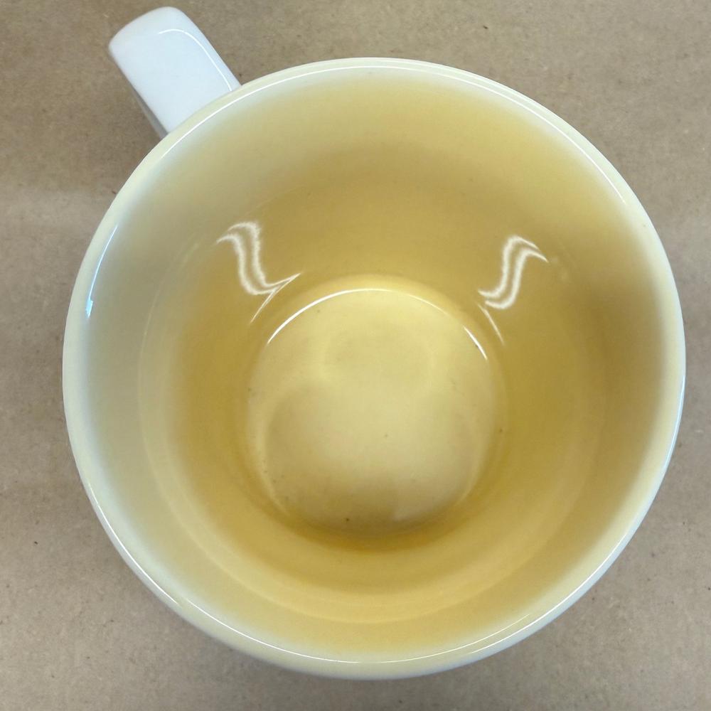 Starbucks Hawaii Hibiscus Mug-2010