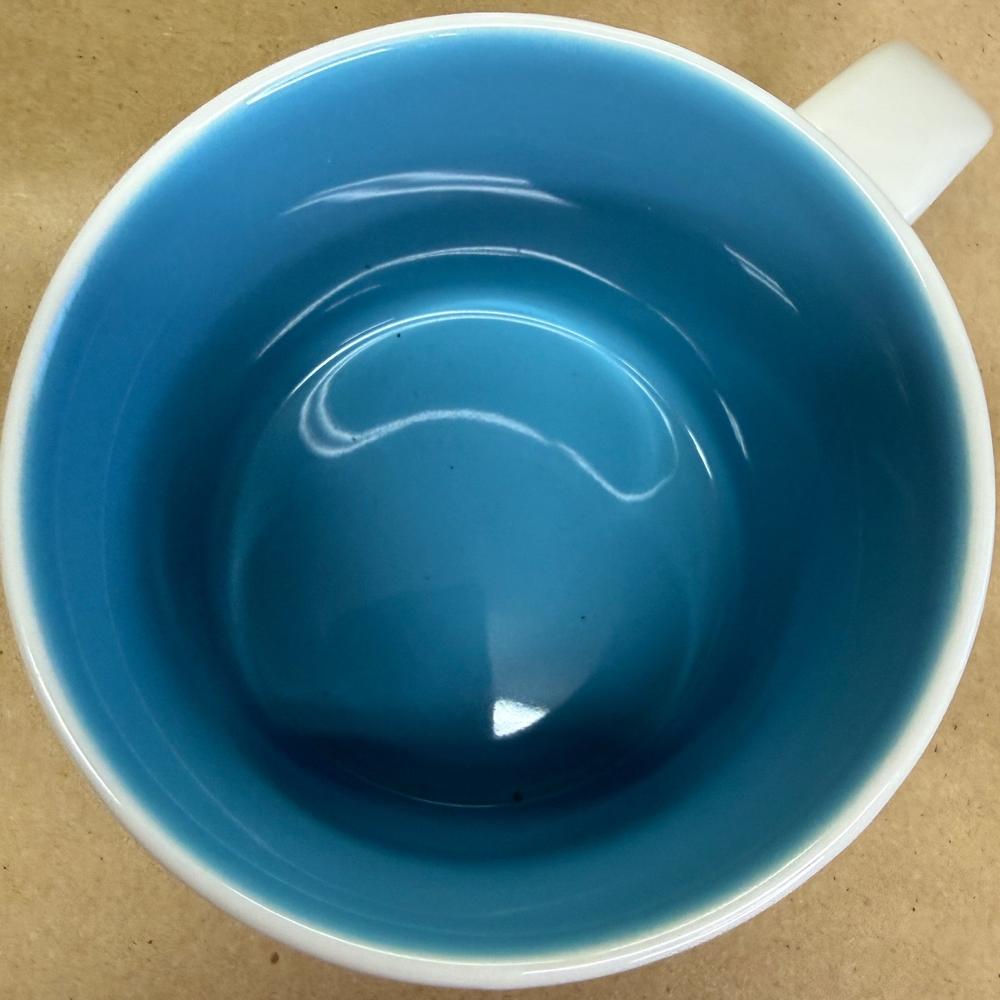 Starbucks You Are Here Series North Carolina Mug NIB-2013