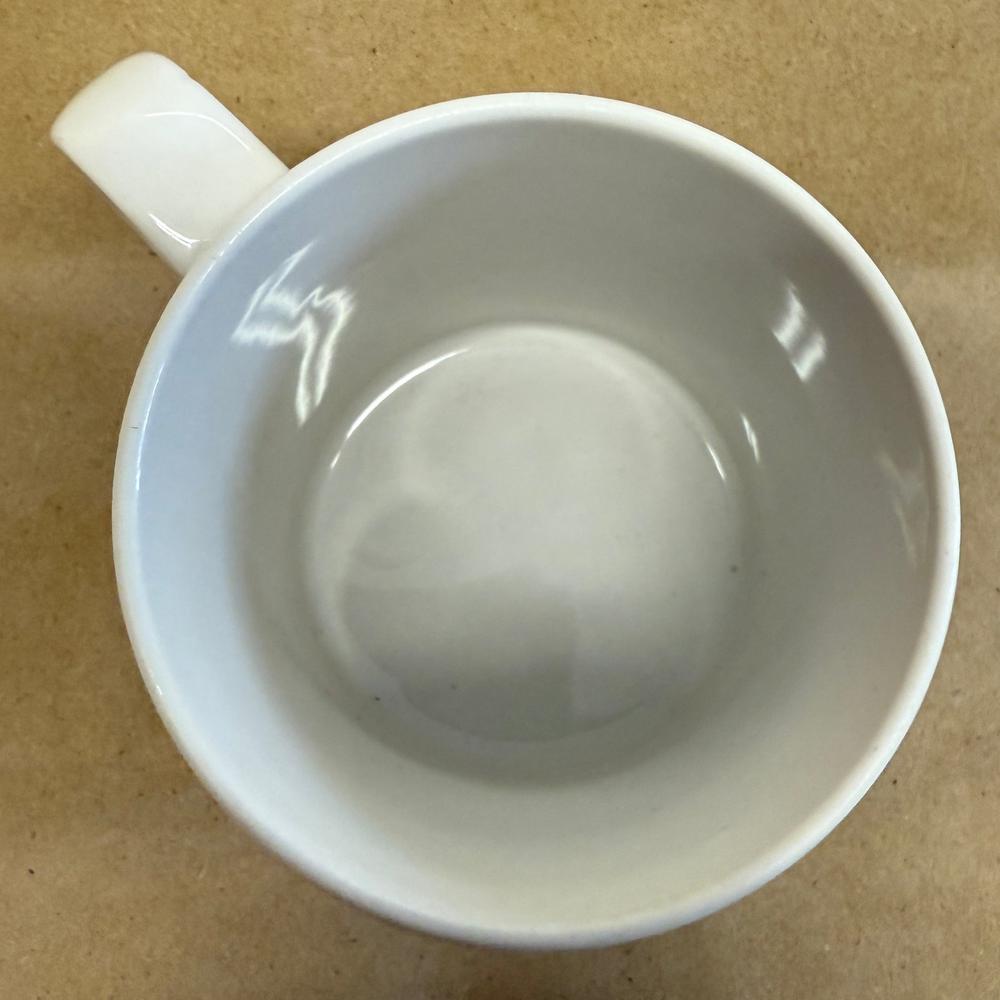 Garfield I Am A Vikings Fan-atic Mug-1978