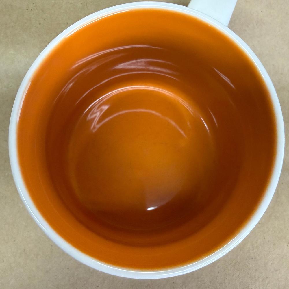 Starbucks You Are Here Series Phoenix Mug-2016