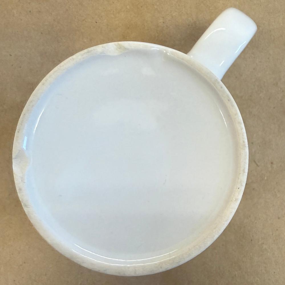 State of Hockey Greats FSN Mug