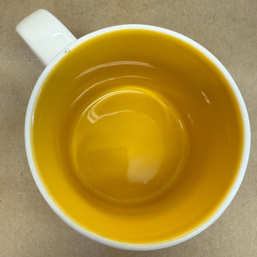 Starbucks You Are Here Series New York Mug-2013