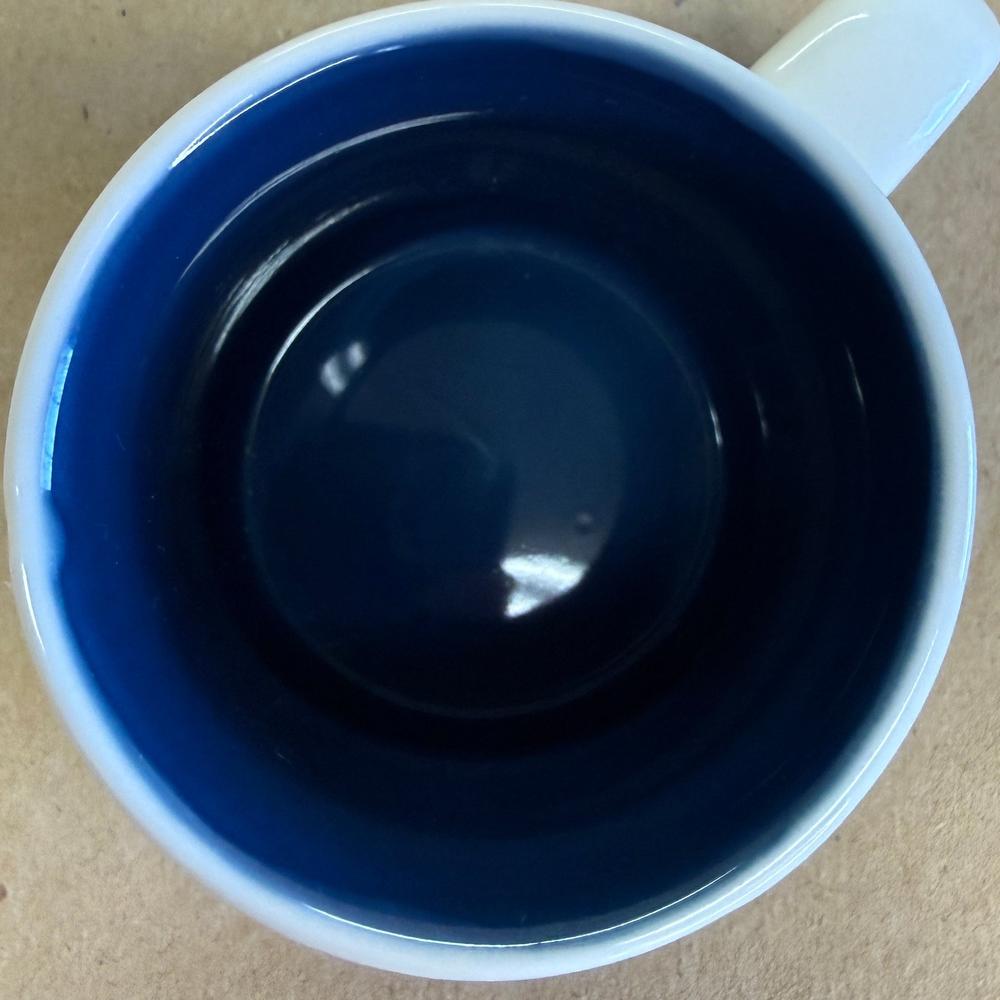 Starbucks Global Icon Collector Series Auckland Ornament Mug-2008