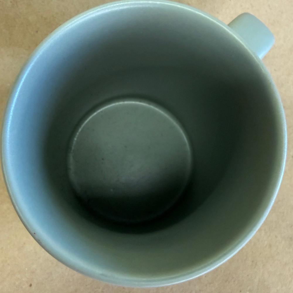 Starbucks Holiday Winter Mittens Mug-2017