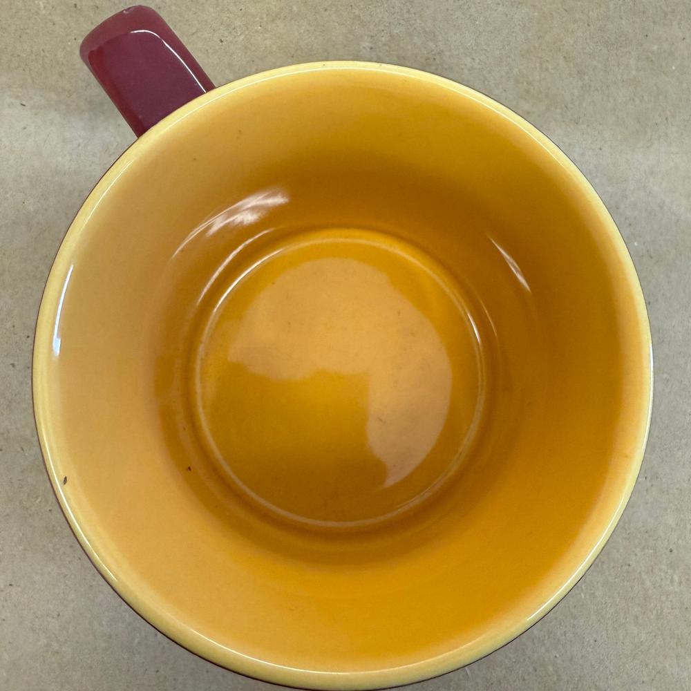 University of Minnesota Embossed M Gophers Mug