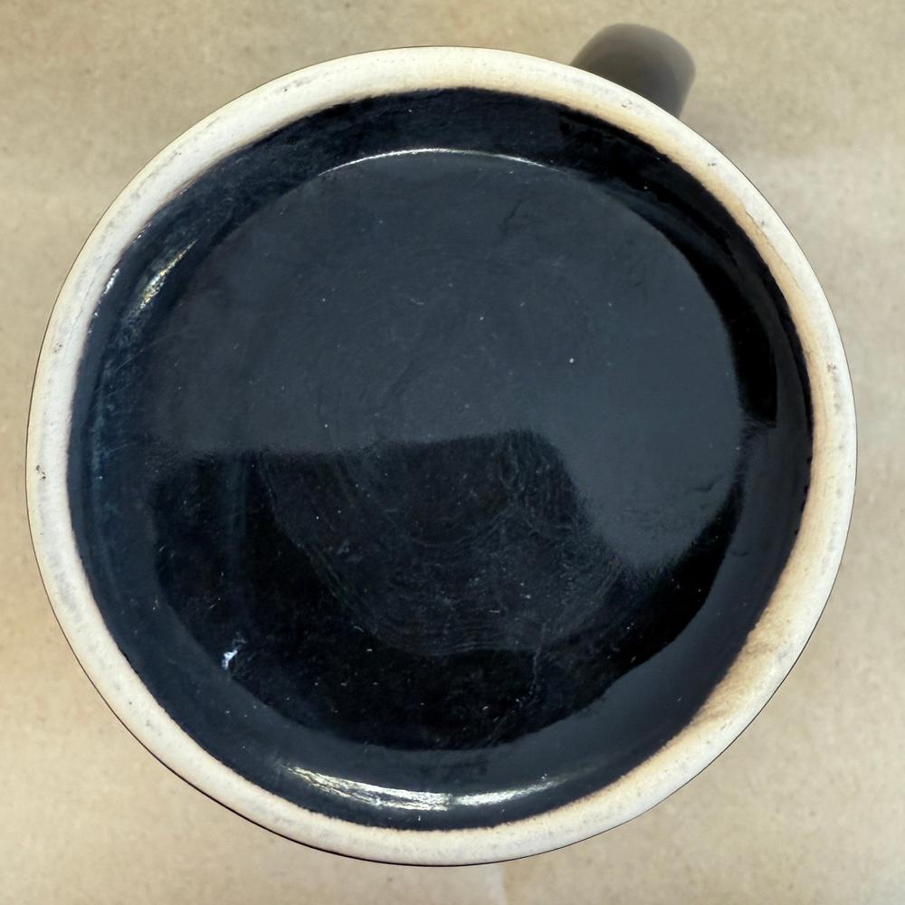 Washington Whales Tall Black Mug