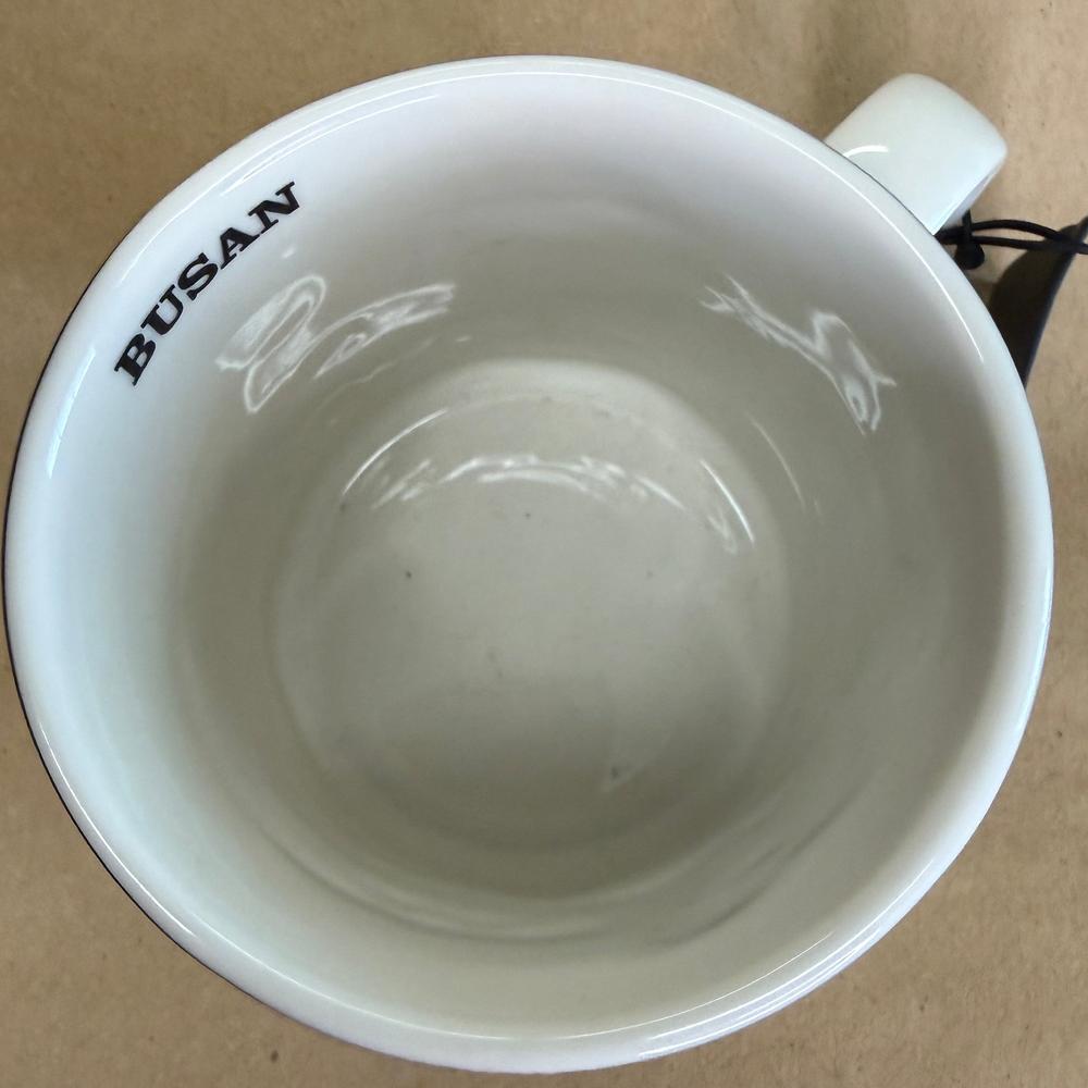 Starbucks Relief Series Busan Mug-2013