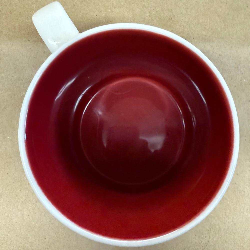 Starbucks Global Icon Collector Series San Francisco Mug-2011