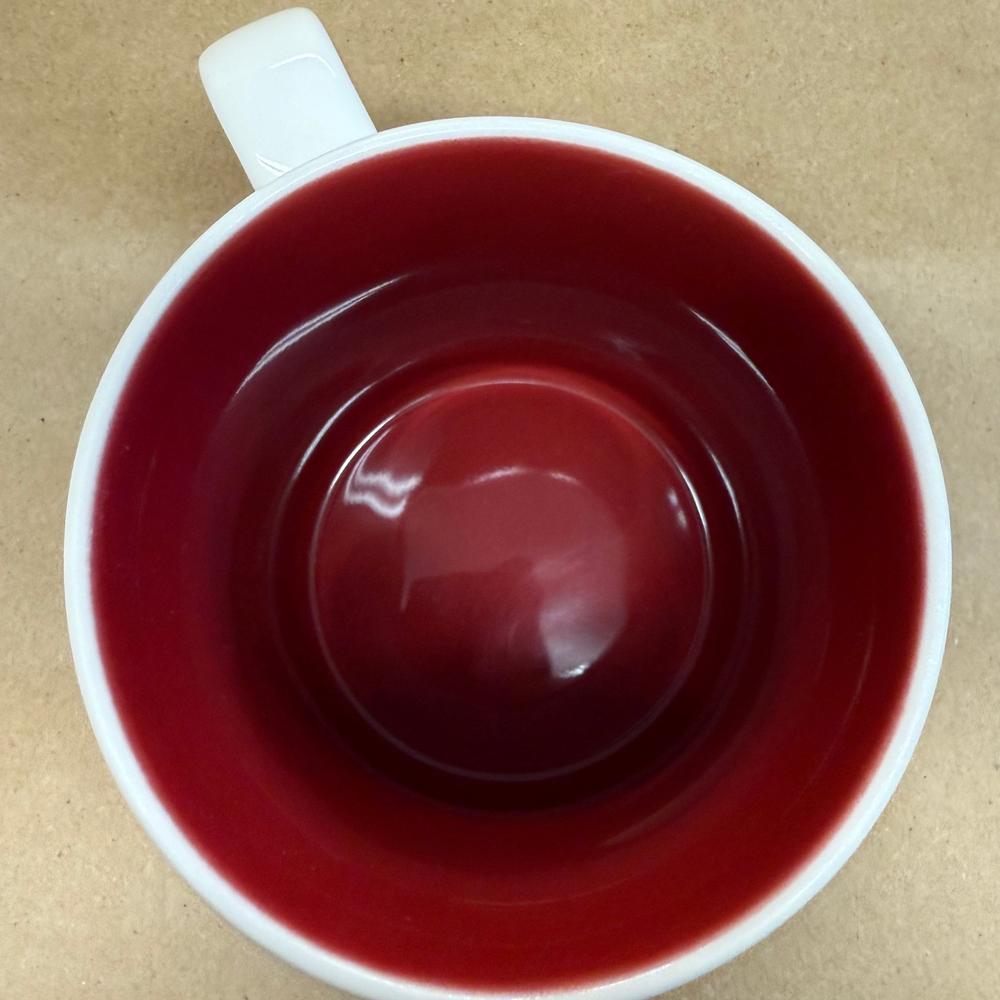 Starbucks Global Icon Collector Series Washington DC Mug-2009