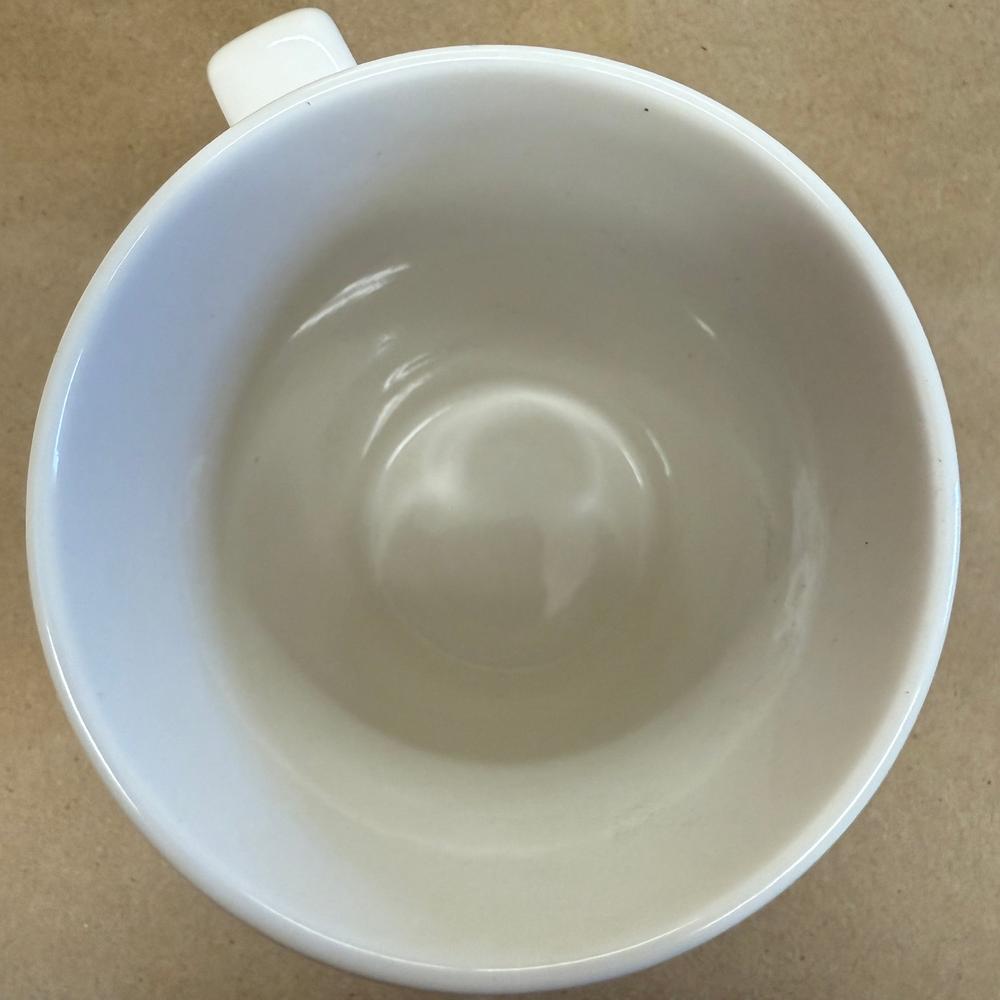 Starbucks Green Knit Sweater Christmas Holiday Black Siren Mug-2016