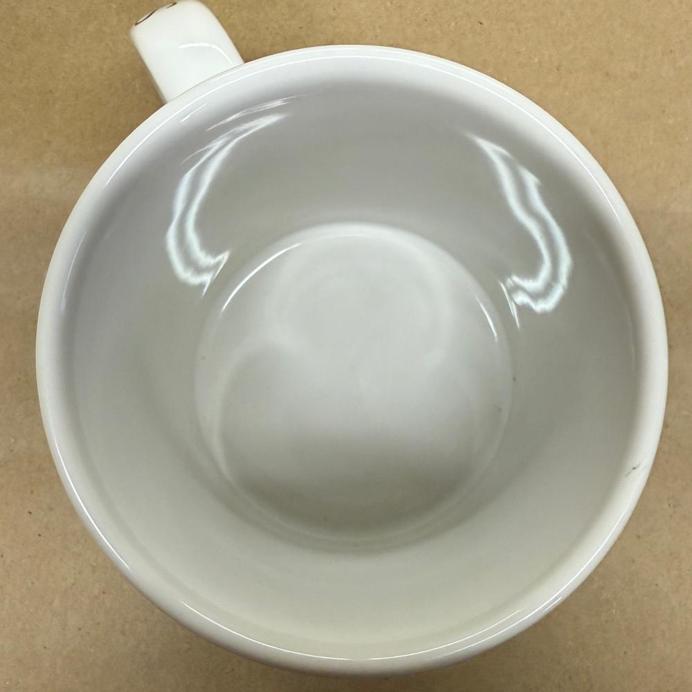 Starbucks Puerto Vallarta City Mug Series-2008