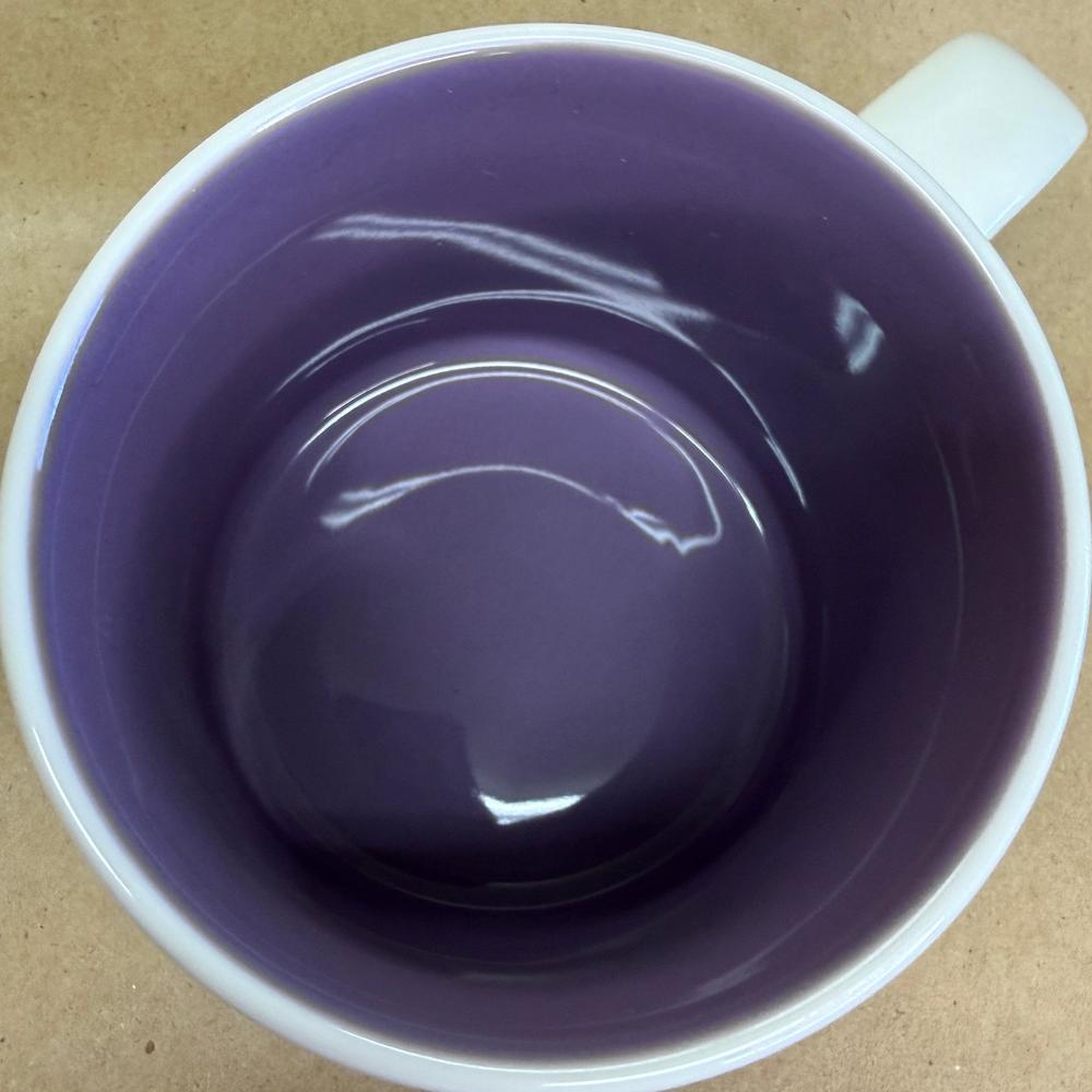 Starbucks You Are Here Disneyland Fantasyland Mug NIB v2