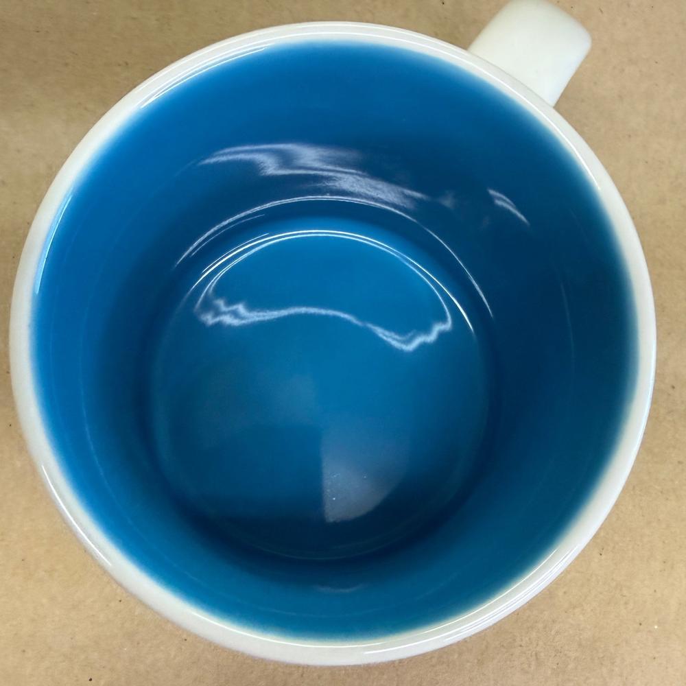 Starbucks You Are Here Disneyland Castle Mug NIB v1