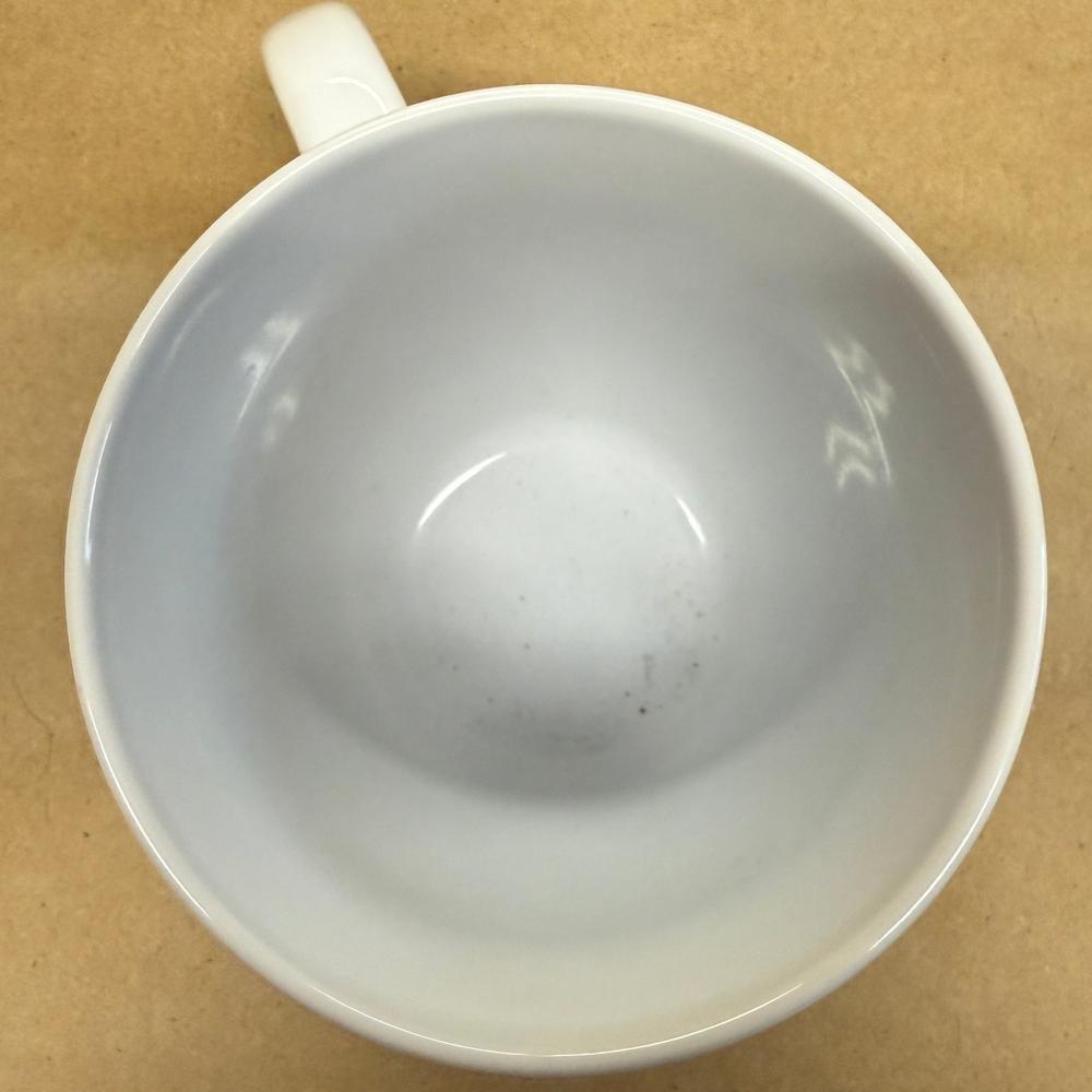 Disney Parks Mrs. Mug