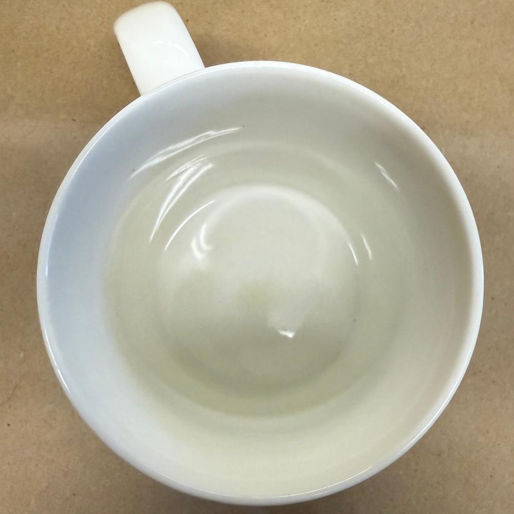 Starbucks Green Christmas Trees Mug-2015