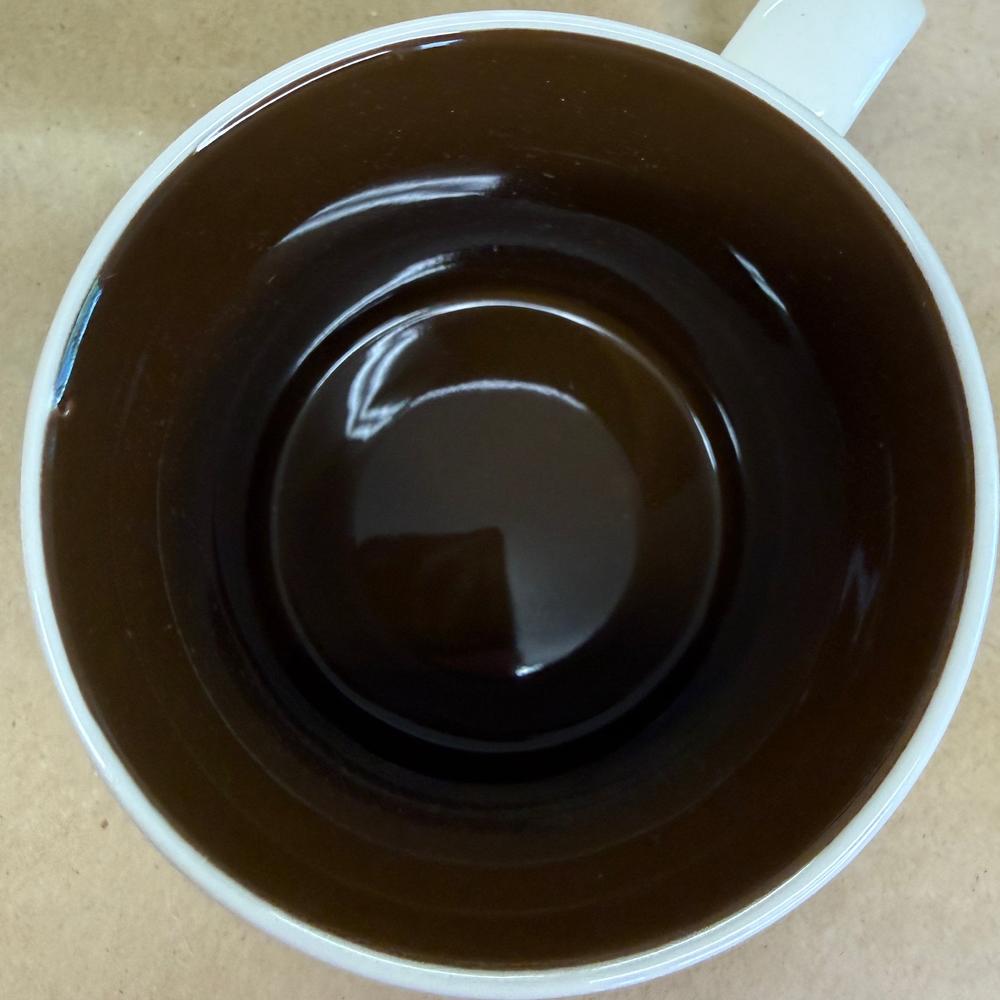Starbucks Global Icon Ensenada Mug-2014