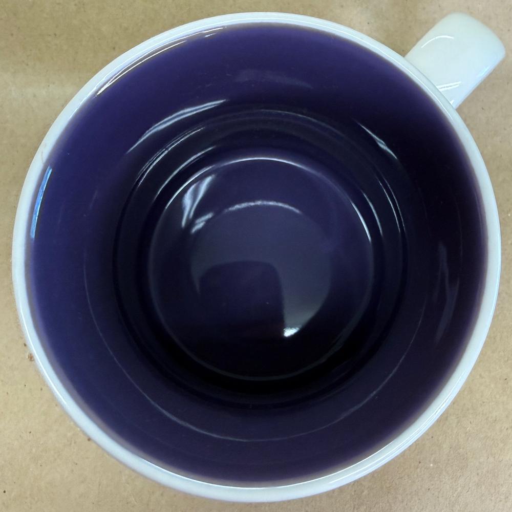 Starbucks Global Icon Puerto Vallarta Mug-2017