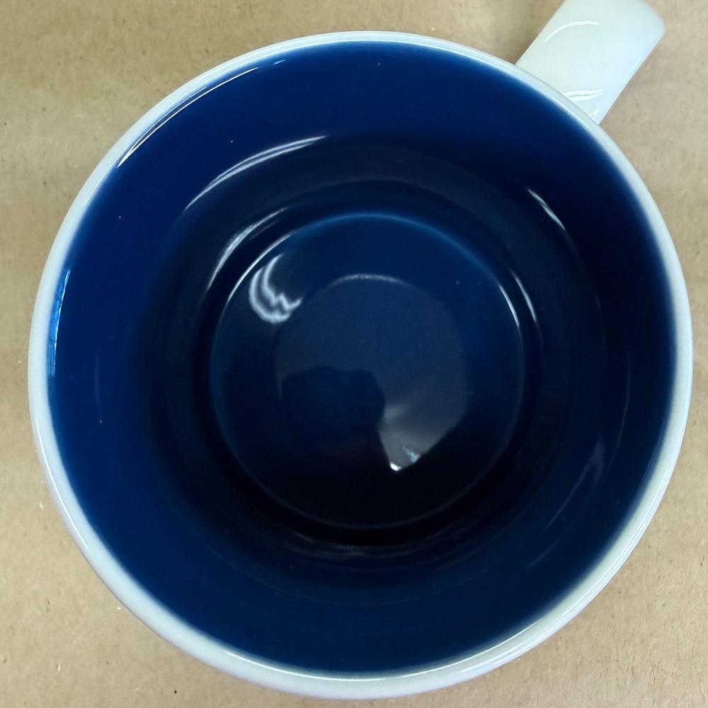 Starbucks Global Icon Acapulco Mug-2016